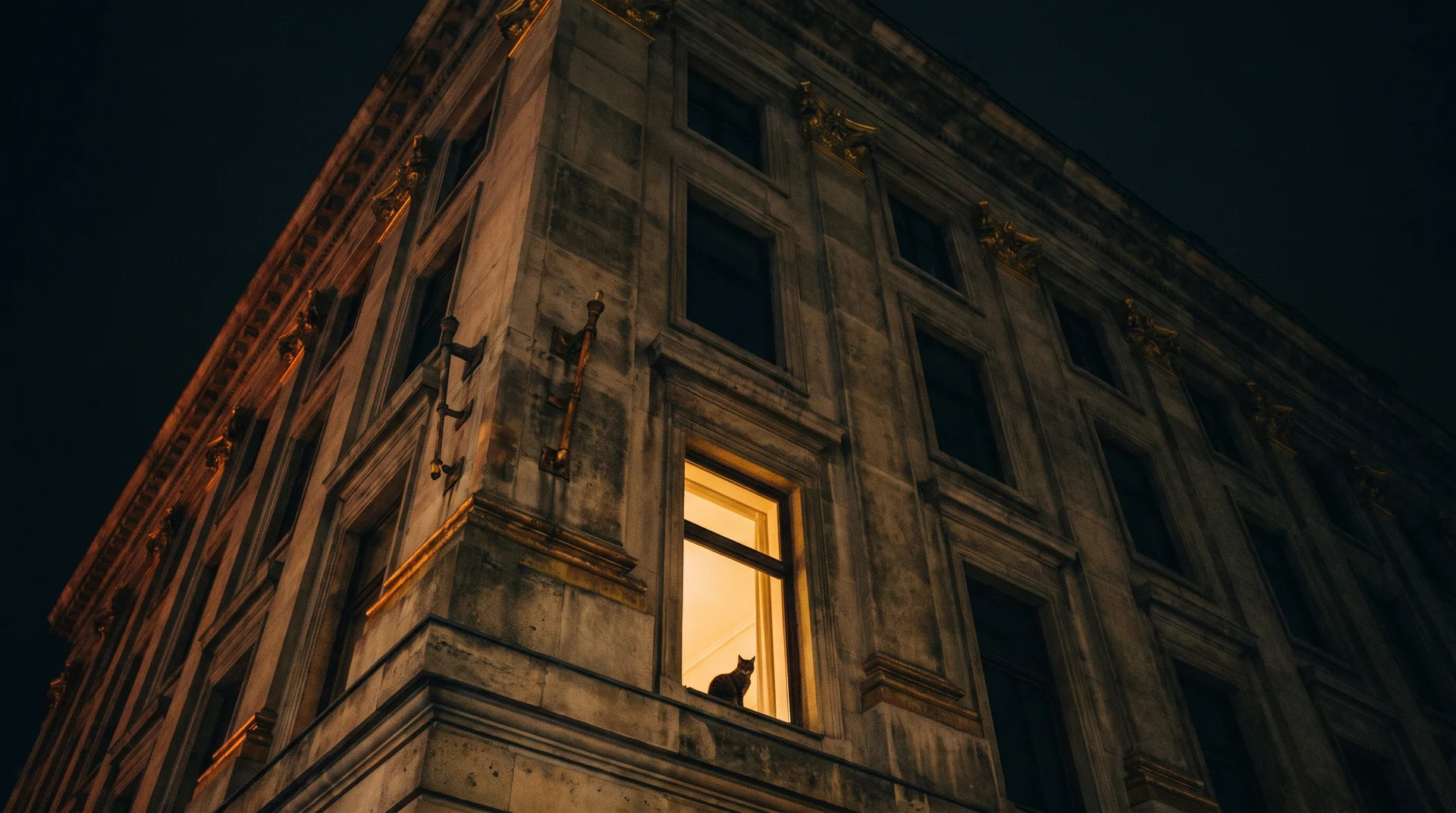 An enormous dark building covered in unlit windows with a single lit window in which a tabby cat sits watching